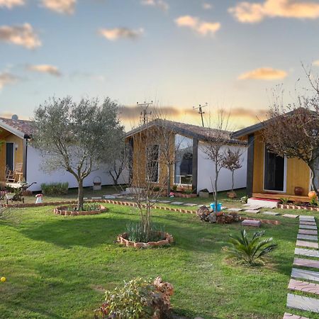 Hotel Villa Linda Shkodër Esterno foto